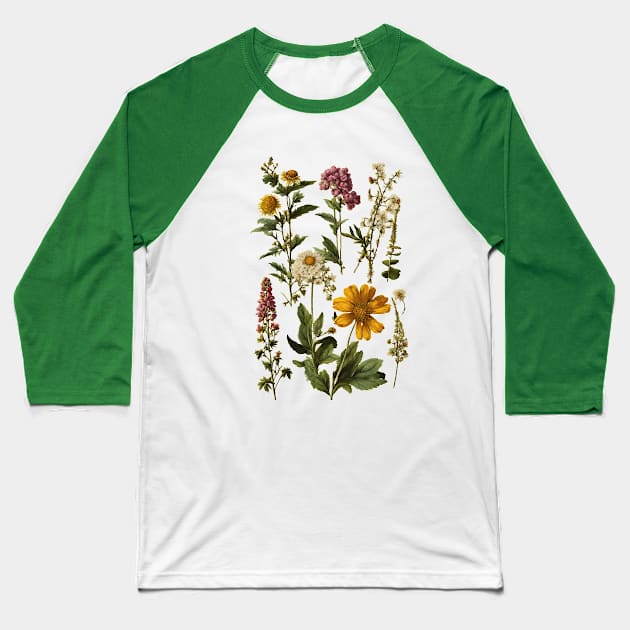 Wildflower  Botanicals Baseball T-Shirt by Kelly Jenkins